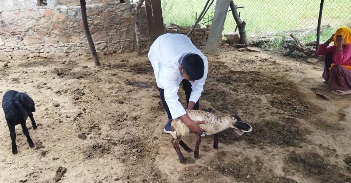 Free animal treatment done at village Charanwas chomu on Dated 24.08.2023
